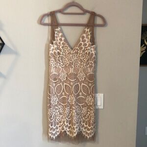 Party Sheath Dress in Nude and White Lace